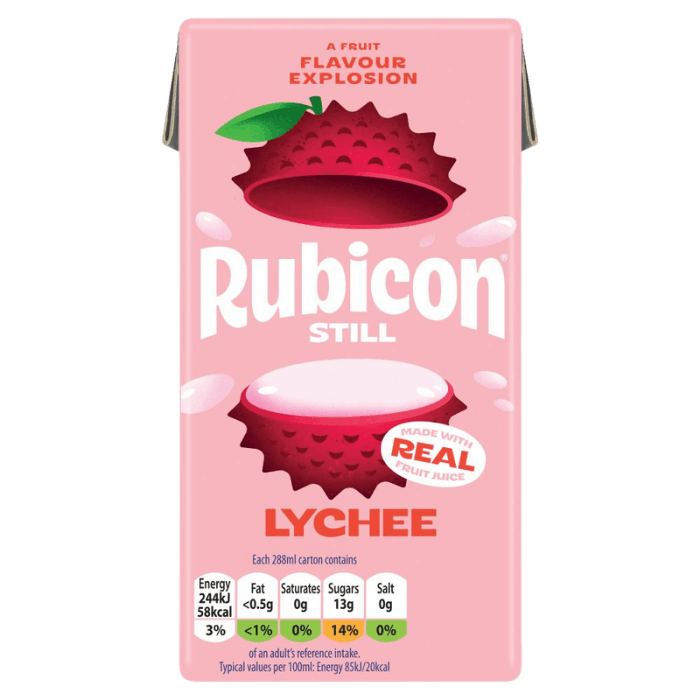 RUBICON Lycheesaft still Tetrapak 288ML – exotisches Lychee-Fruchtsaftgetränk