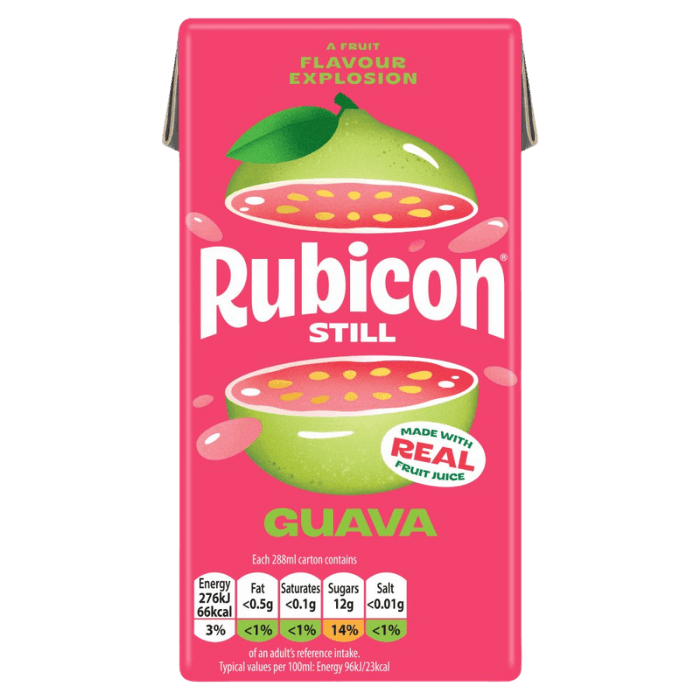 RUBICON Guavasaft still Tetrapak 288ML Tropisches Guava Fruchtsaftgetränk